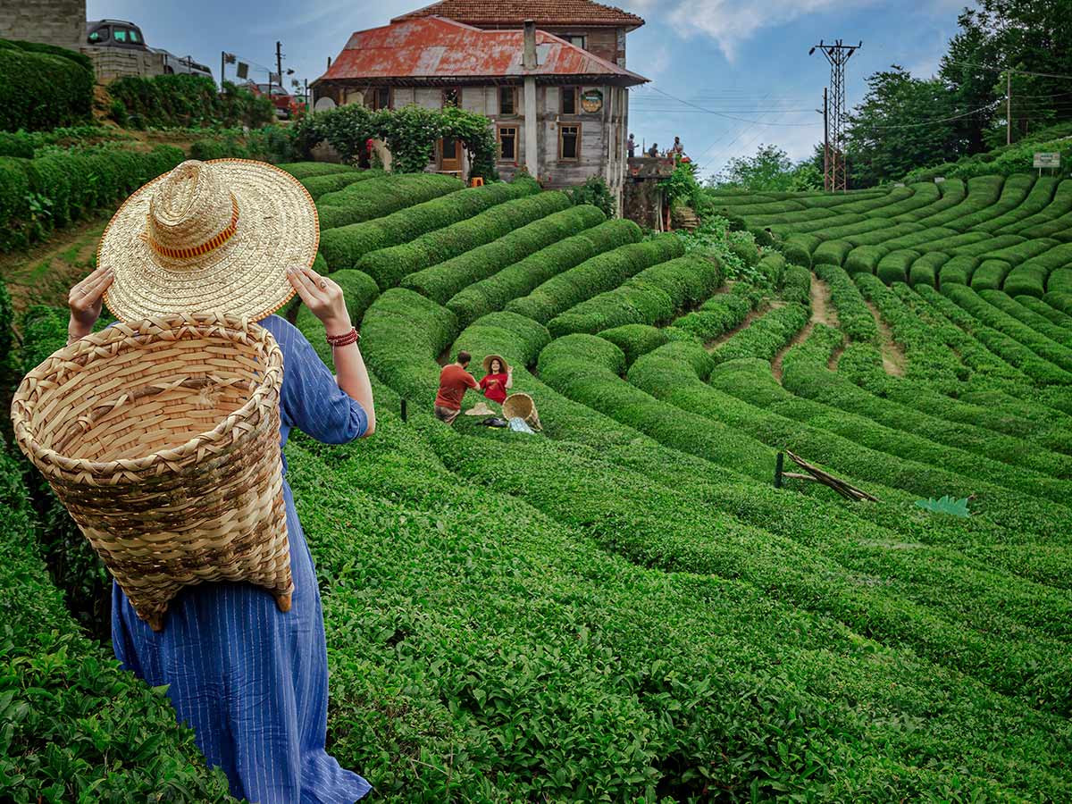 Doğu Karadeniz Batum Turu